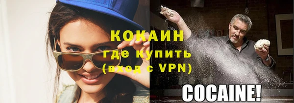 гидра Новозыбков