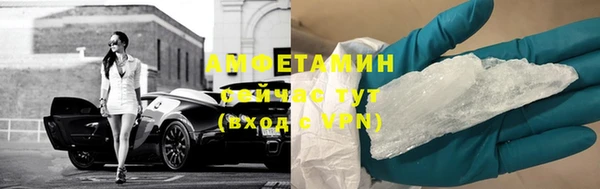 прущие грибы Бежецк