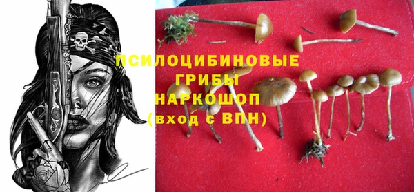 гидра Новозыбков