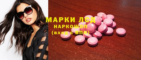 гидра Новозыбков
