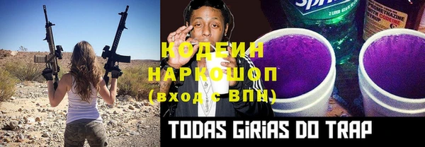 гидра Новозыбков
