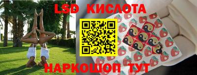 дживик Гатчина