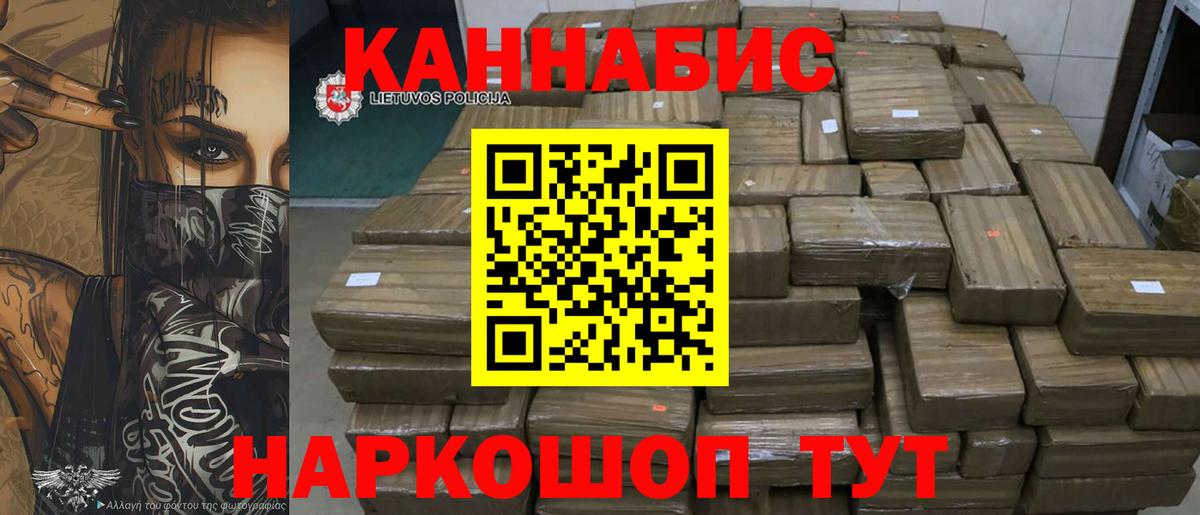 Конопля гибрид  Каннабис конопля  Иваново  Бошки Шишки семена  Конопля планчик 